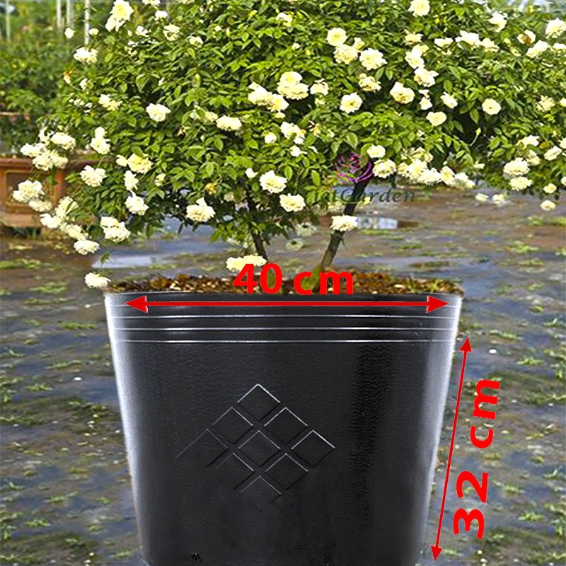 50 Chậu 40X32X32cm nhựa PE dẻo trồng cây bền từ 5 đến 10 năm-77114