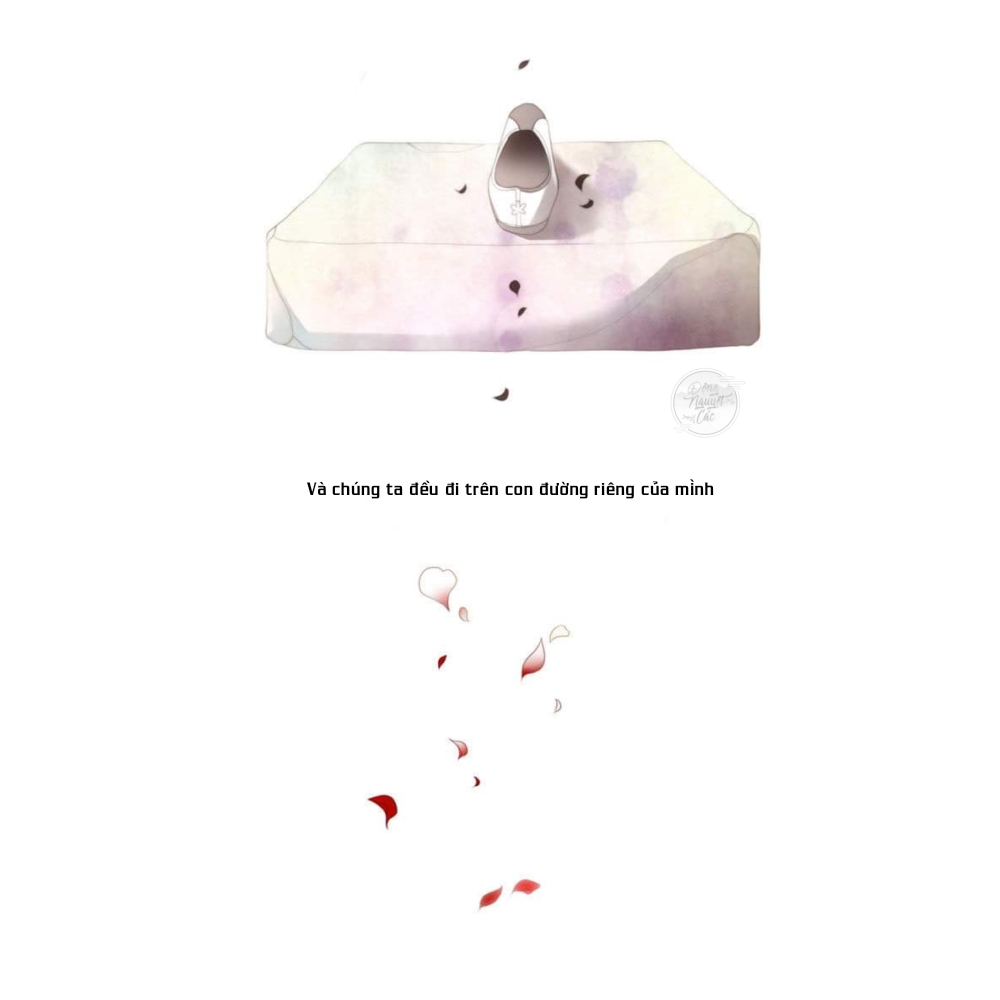 the twelfth night chapter 1 7