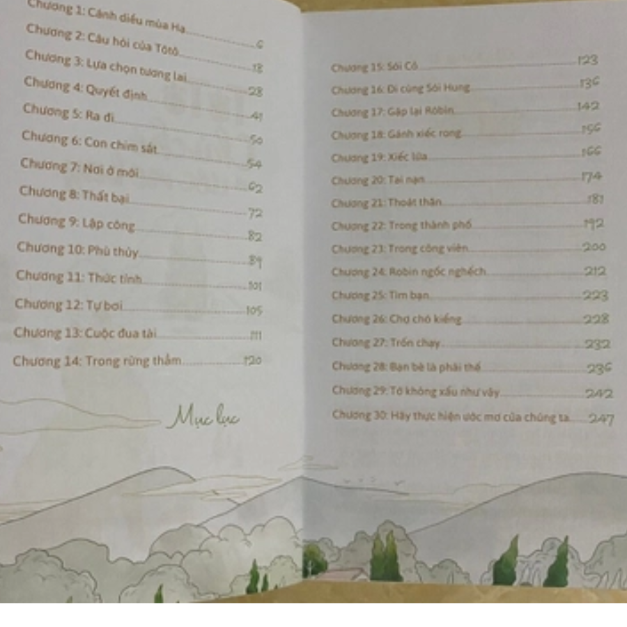 Tôtô - Chú Chó Với Ước Mơ Bay