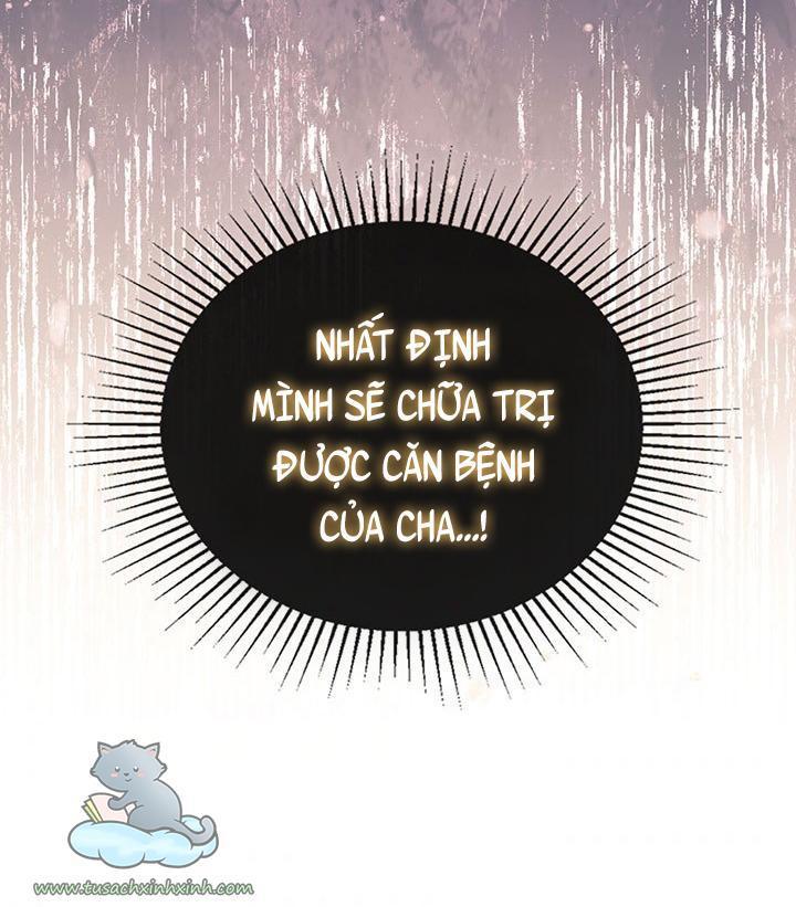 kiếp này ta sẽ trở thành gia chủ chapter 64 92