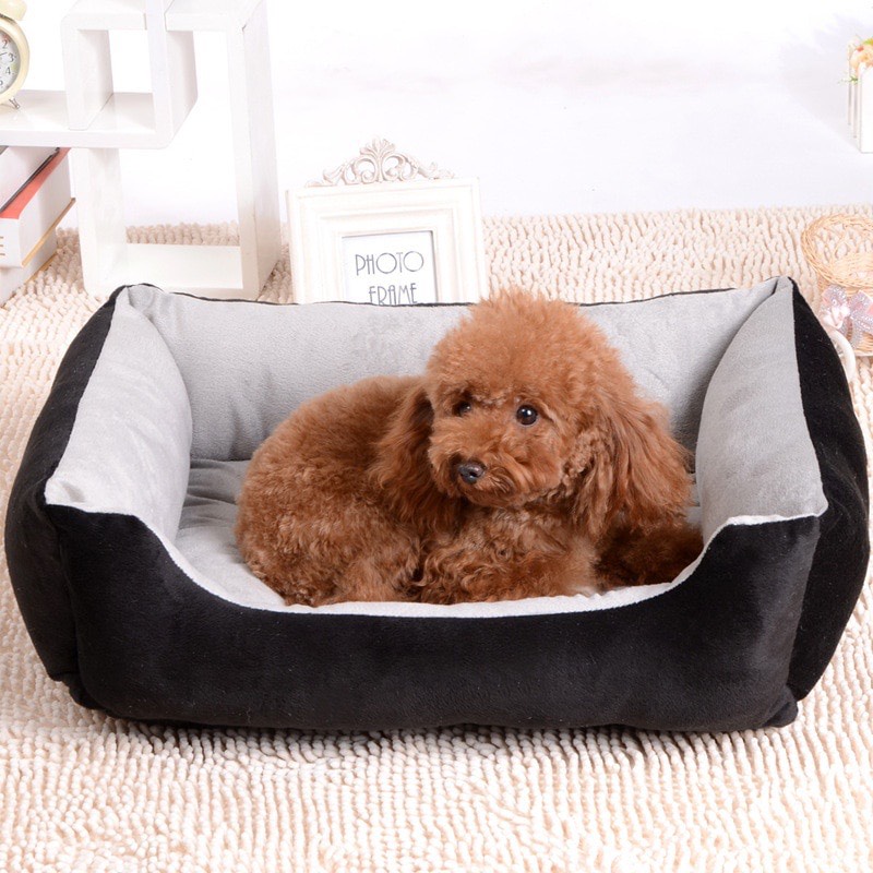 Nệm chữ nhật cho chó mèo ,ổ đệm nằm cao cấp cho chó mèo đủ size