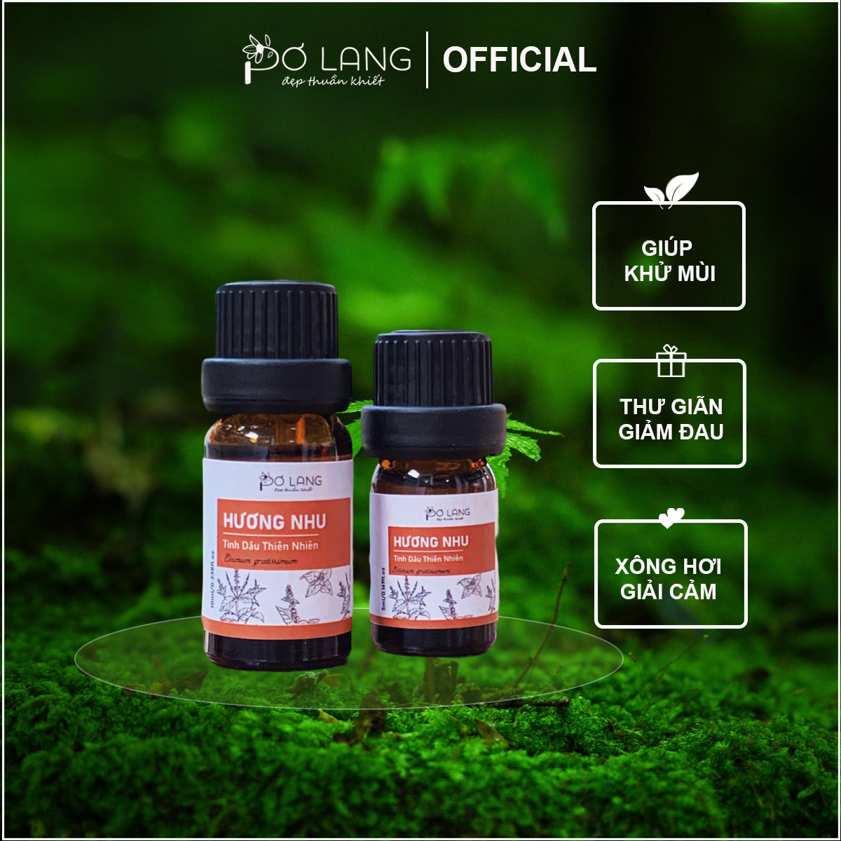 Tinh dầu hương nhu thiên nhiên giúp dưỡng tóc, giúp giải cảm, hỗ trợ giảm đau xương khớp
