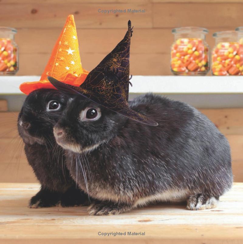 Sách ngoại văn: 1, 2, Let's Say Boo