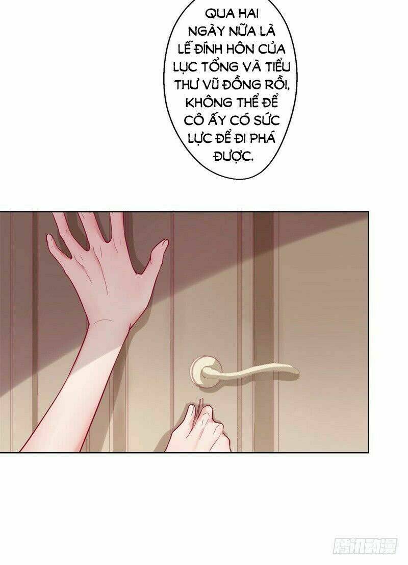 ngạo kiều tổng tài sủng điềm thê chapter 28 39