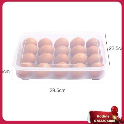 Hộp Đựng Trứng 24 Quả Tiện Dụng Khay Trứng 1 Tầng Nhựa Cao Cấp - Miễn Phí Vận Chuyển