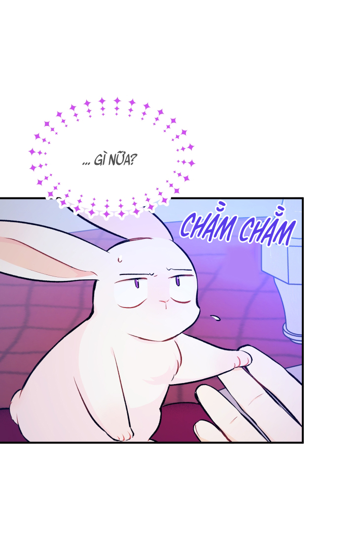 mối liên kết giữa báo đen và bé thỏ chapter 4 22