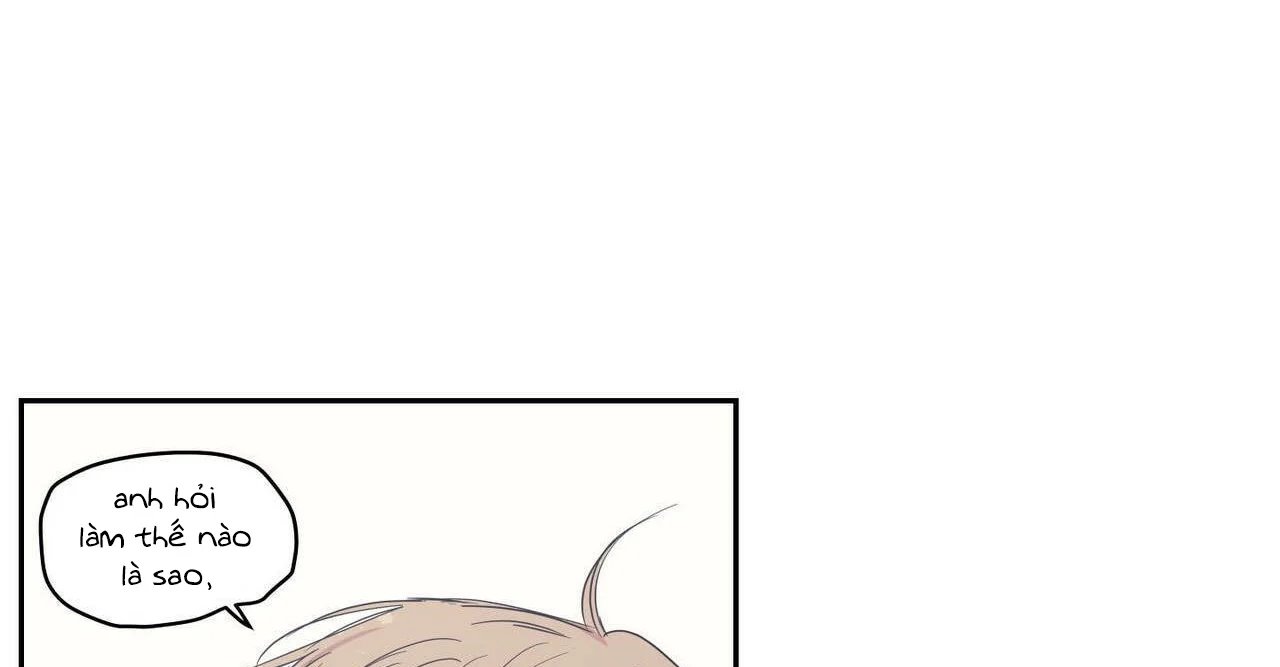 không chốn yêu đương chapter 81 15