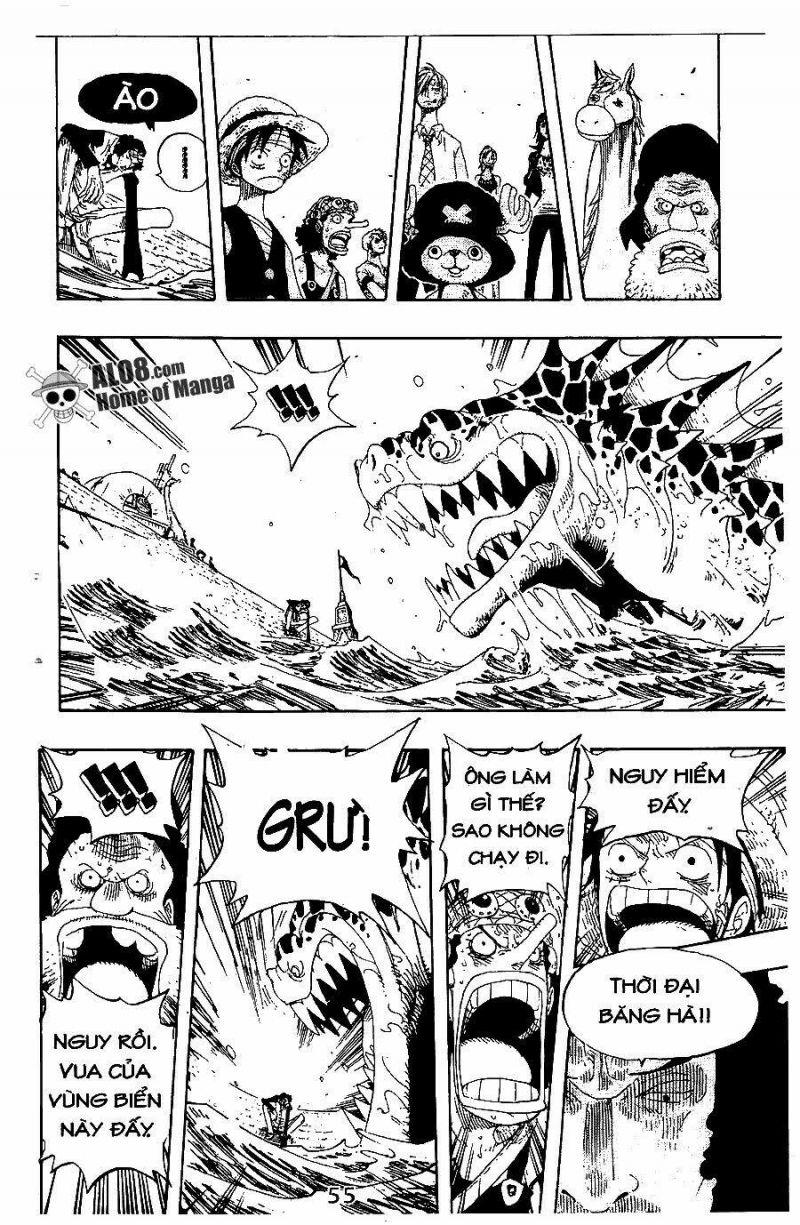 đảo hải tặc - one piece chapter 319 11