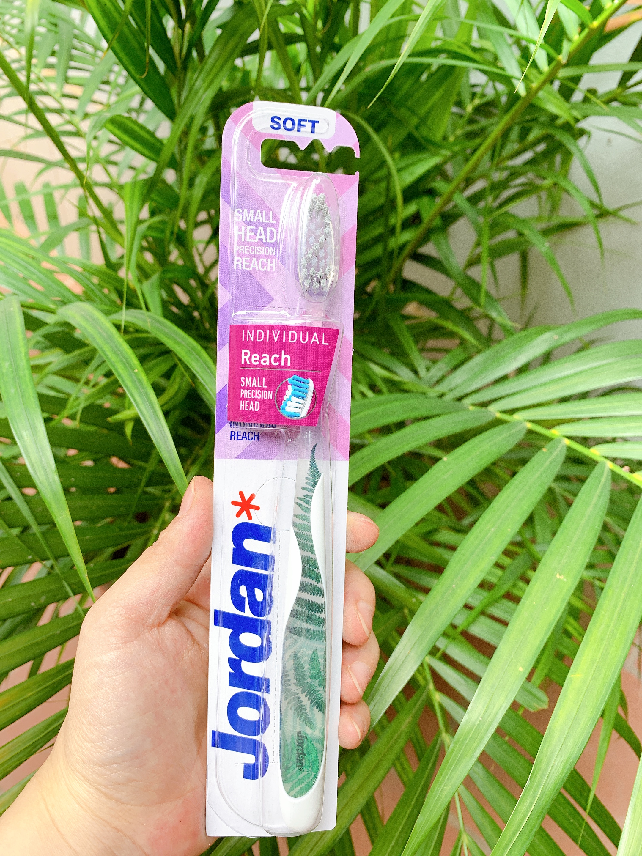 Bàn Chải Đánh Răng Jordan Dr Individual Reach - Giao Màu Ngẫu Nhiên
