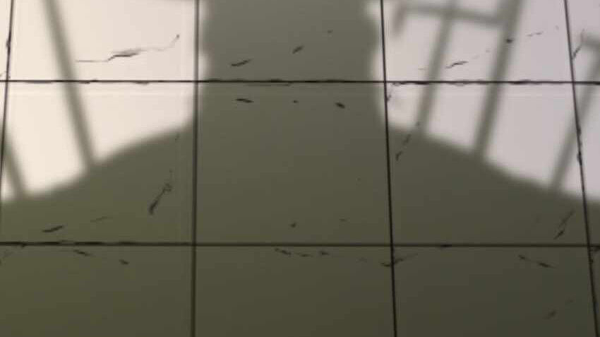 nhập hồn ma đạo tổ sư chapter 30.2 59