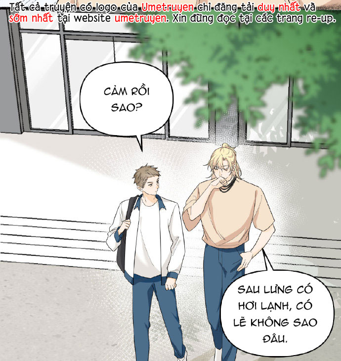 mỗi ngày đều muốn đứng hạng nhất chapter 21 4