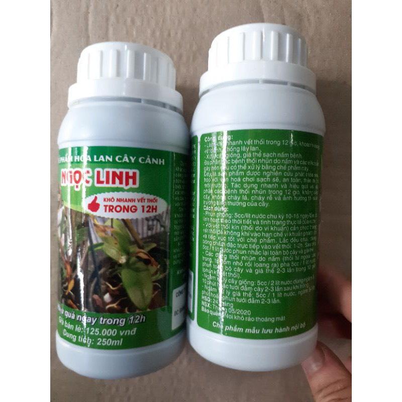 Chế Phẩm Ngọc Linh Chống Thối Nhũn Cho Hoa Lan, Hoa Hồng, Cây Cảnh. Hiệu Quả Sau 12h