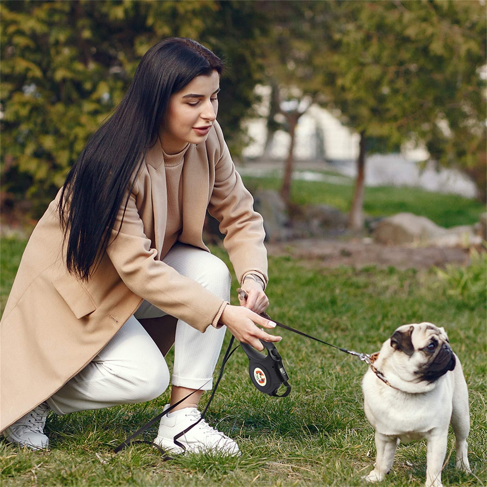 Rời khỏi có thể thu vào, con chó con chó, con chó có thể thu vào với ánh sáng, rò rỉ có thể thu vào cho chó kích thước màu đen 5 m, một điểm dừng cay đắng, hãy để mèo có thể thu vào.