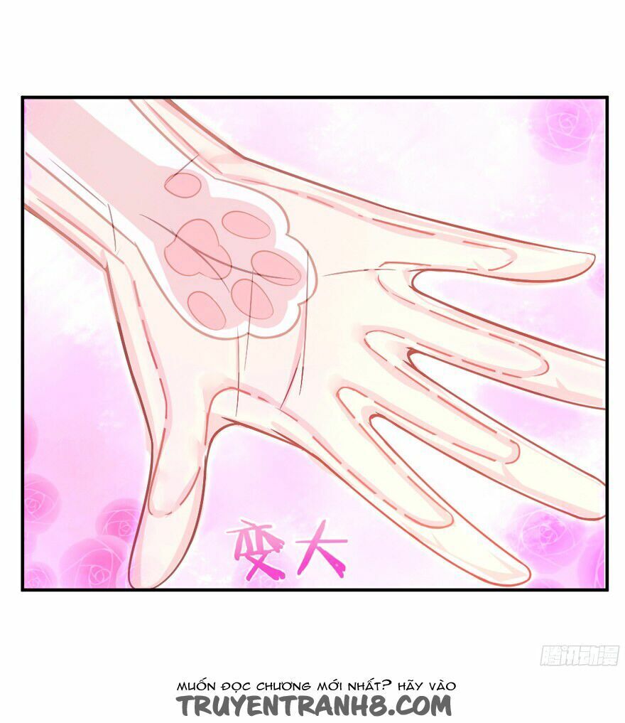 chủ nhân là ảnh đế chapter 1.6 36