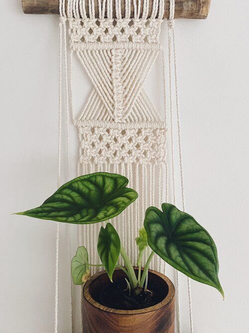 Kệ gỗ trang trí dây treo tường tết macrame độc đáo KM012