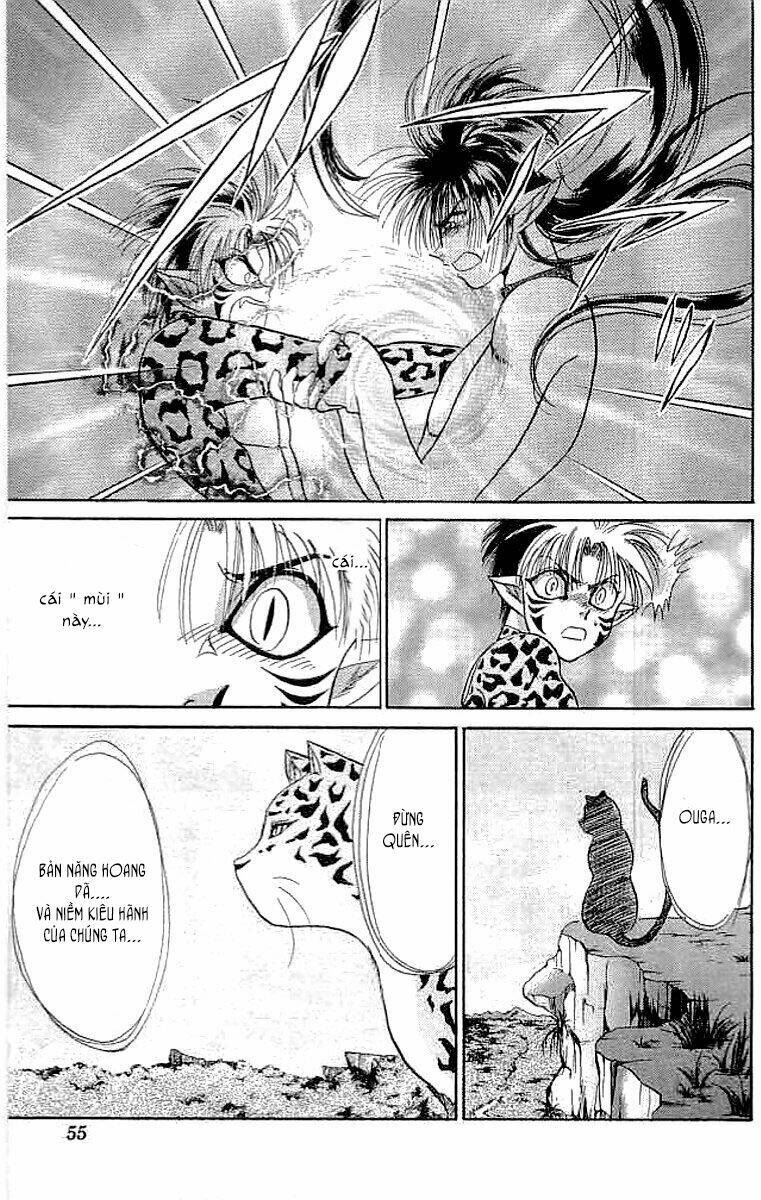 wild half chapter 19 11