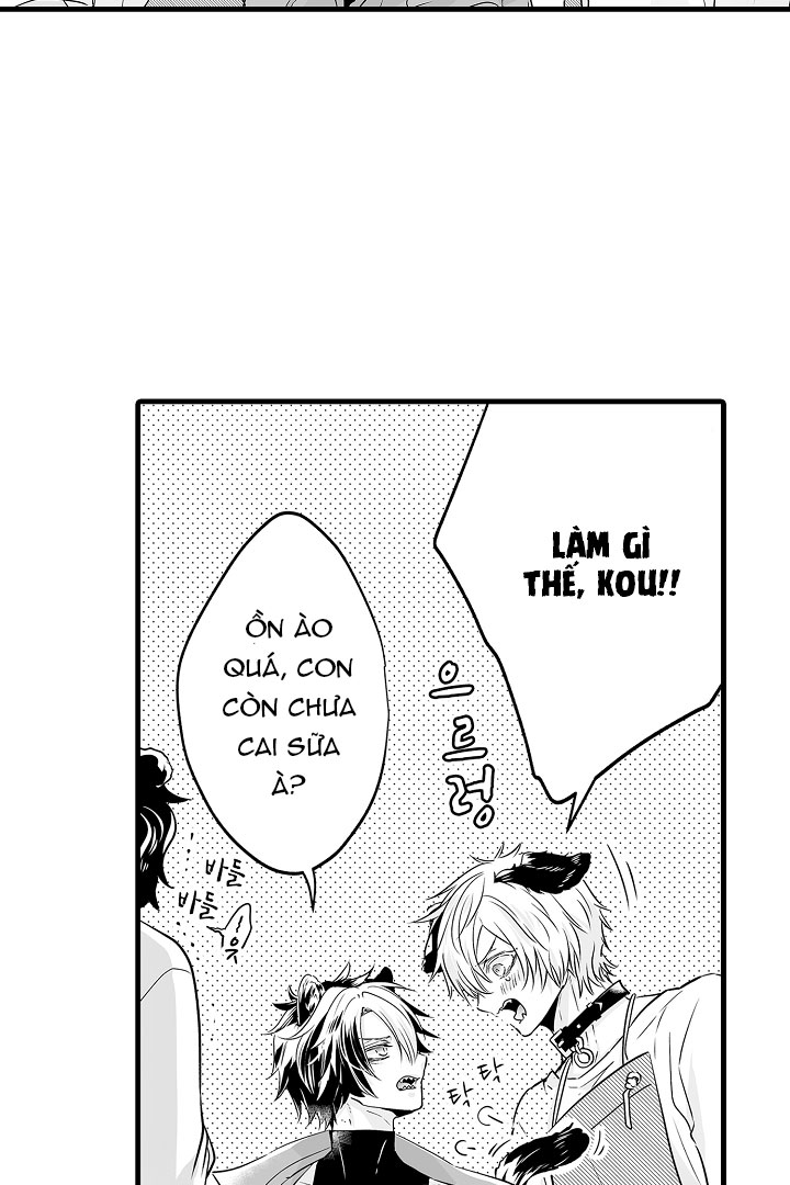 gấu ngủ đông chapter 12.2 13