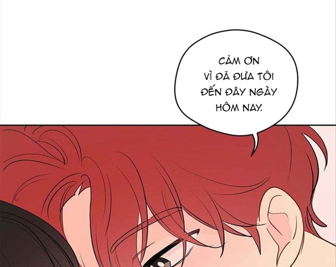 chuyện quái gì với giấc mơ đó vậy chapter 29 176