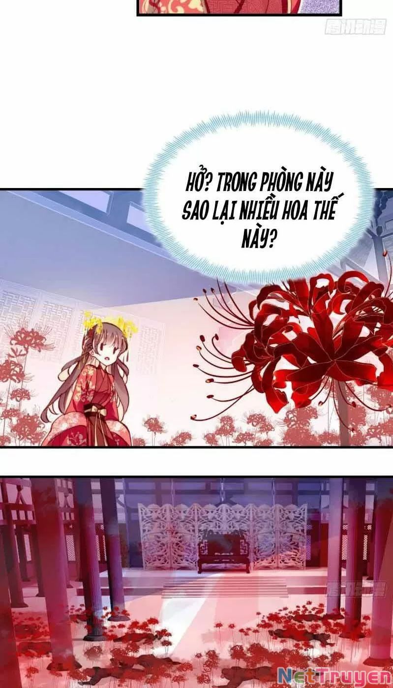lại bị bệnh chiều chuộng quấn lấy chapter 3 9
