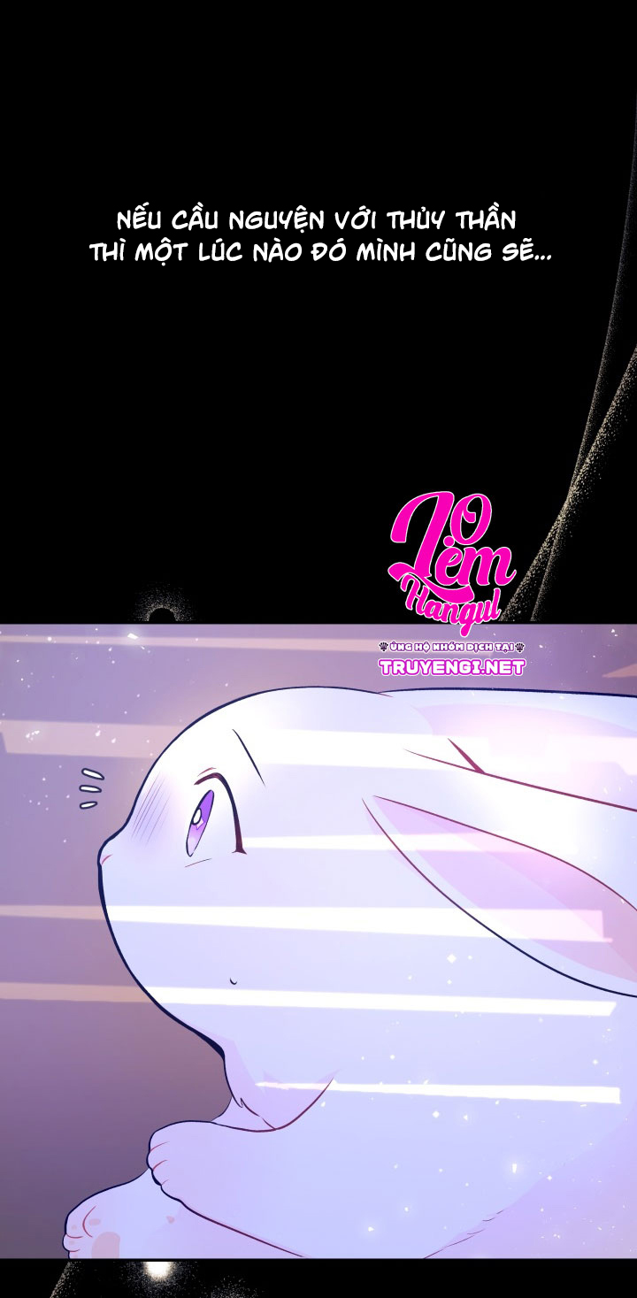 mối liên kết giữa báo đen và bé thỏ chapter 1 10