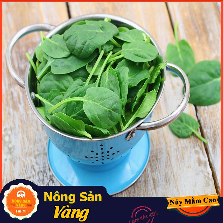 Hạt giống Cải Bó Xôi Chịu Nhiệt - Nông Sản Vàng