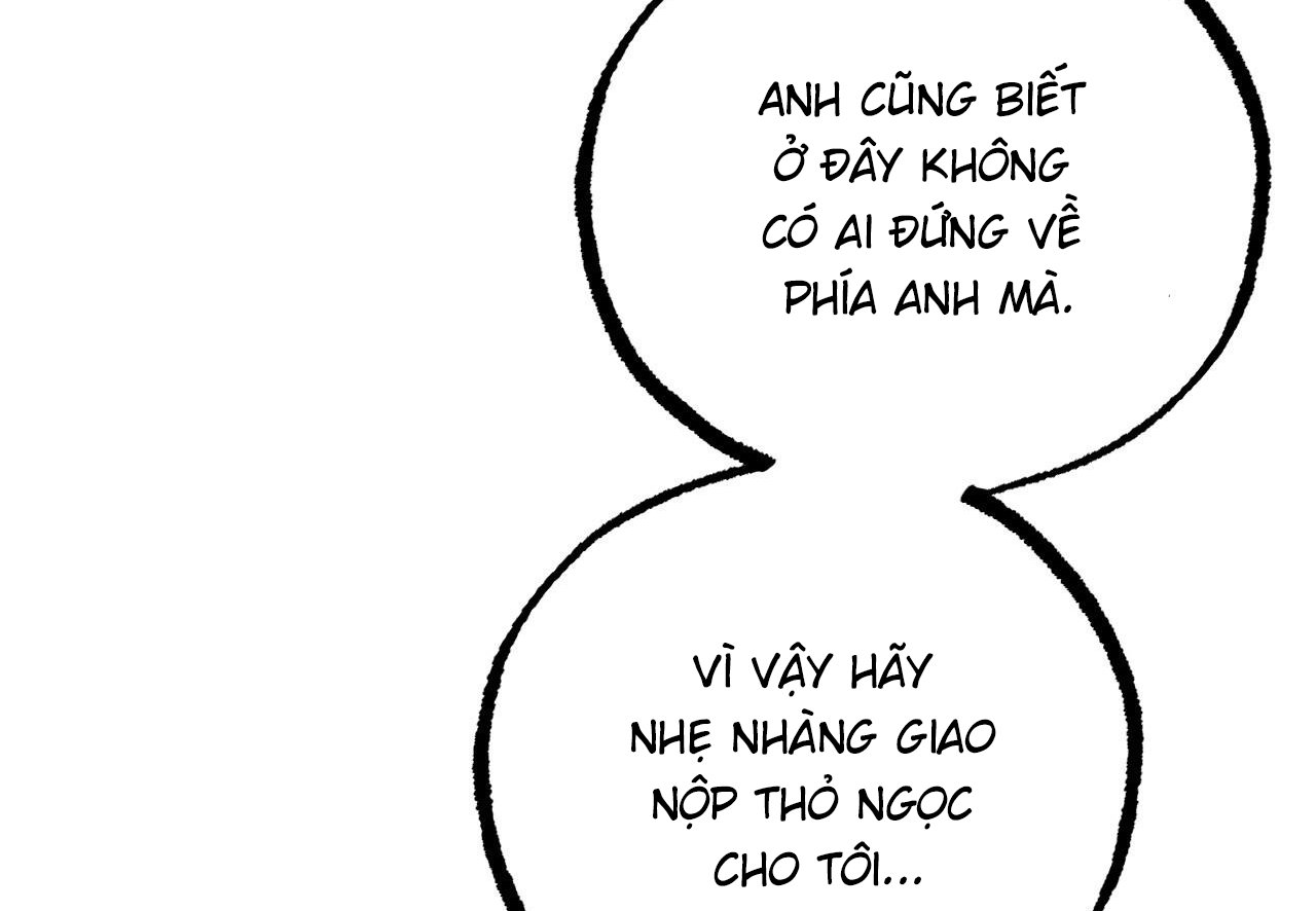 những chú thỏ của hapypy chapter 62 25