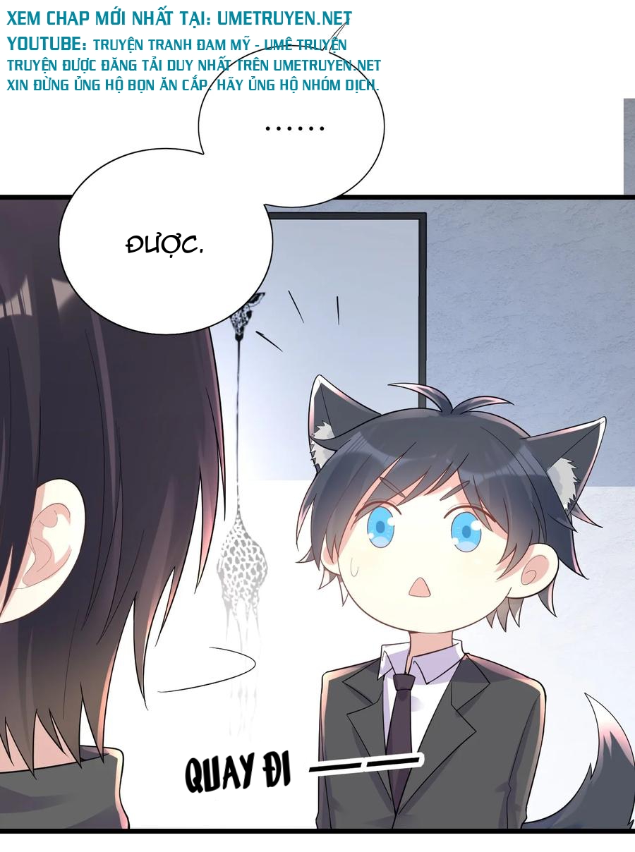 tức thời phạm quy [ tức thì vi quy ] chapter 12 28