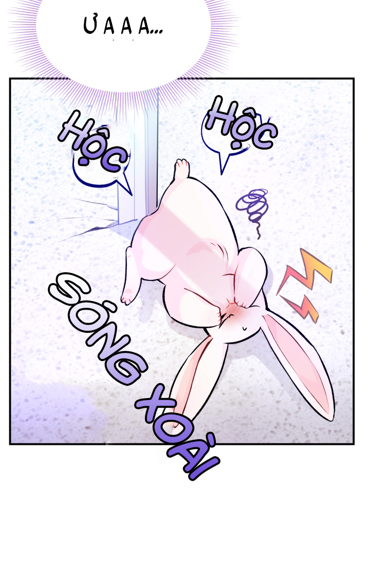 mối liên kết giữa báo đen và bé thỏ chapter 3 70