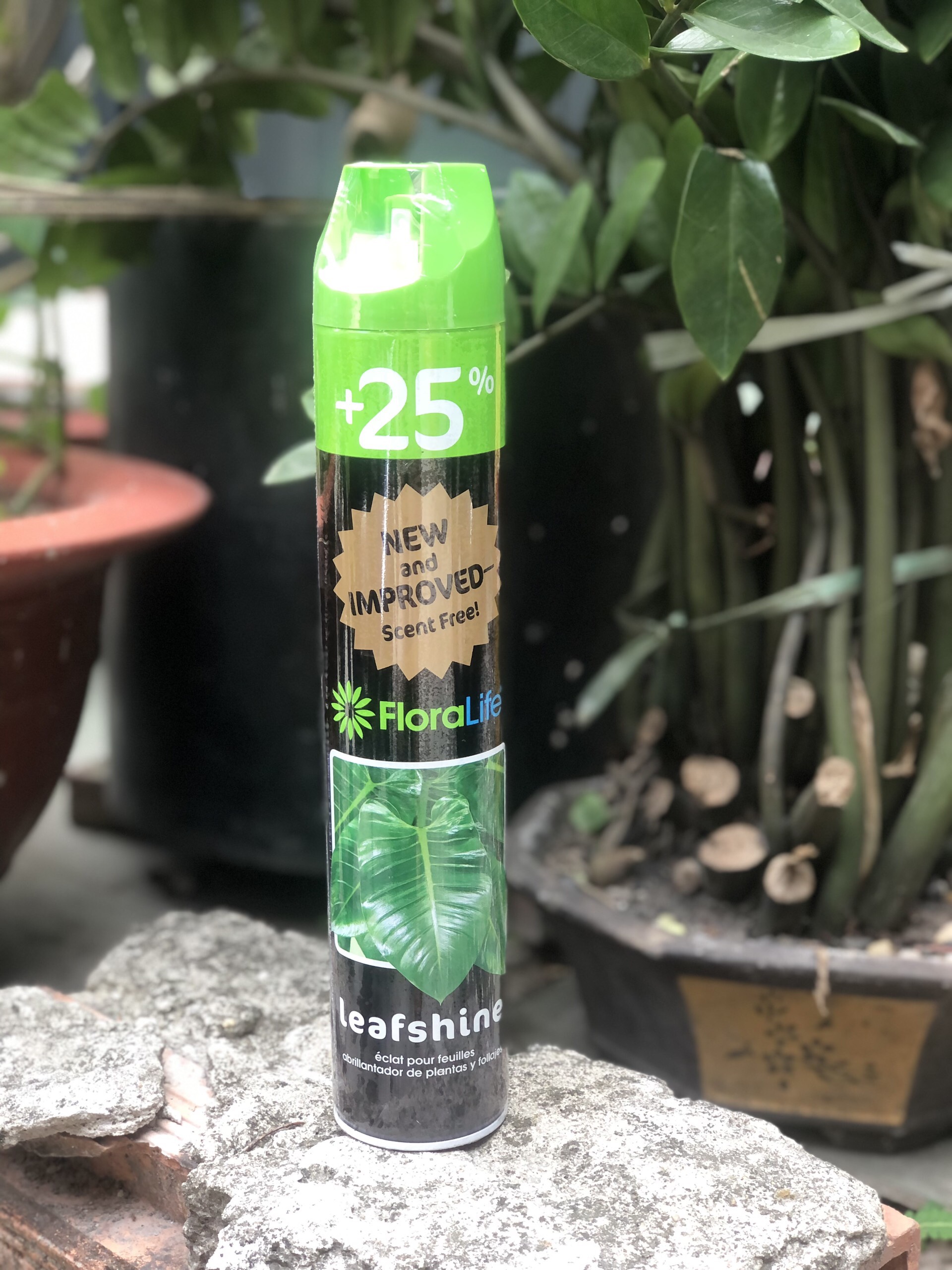 XỊT BÓNG LÁ FLORALIFE TỪ MỸ