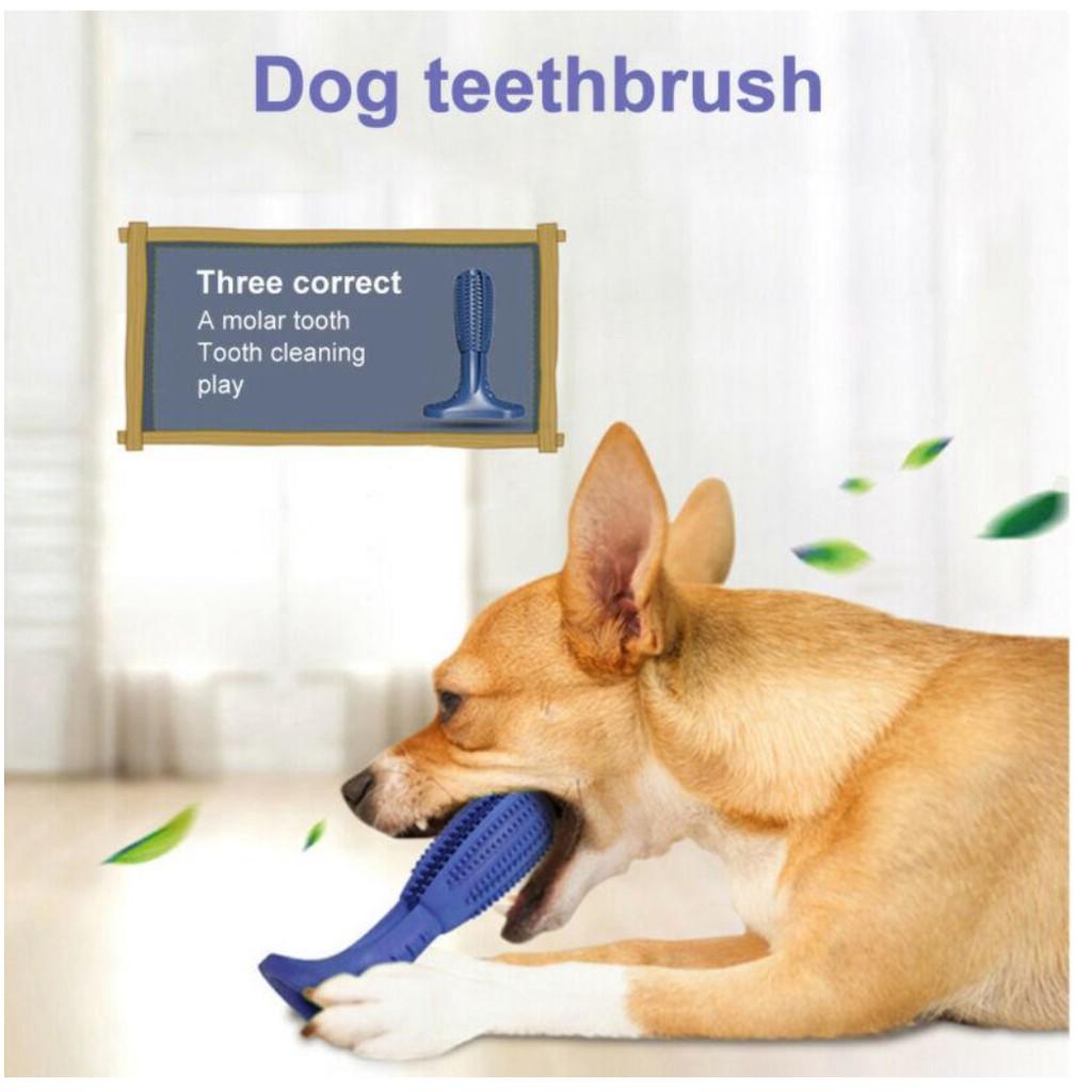 Dụng cụ đánh răng cho chó DOG TOOTHBRUSH