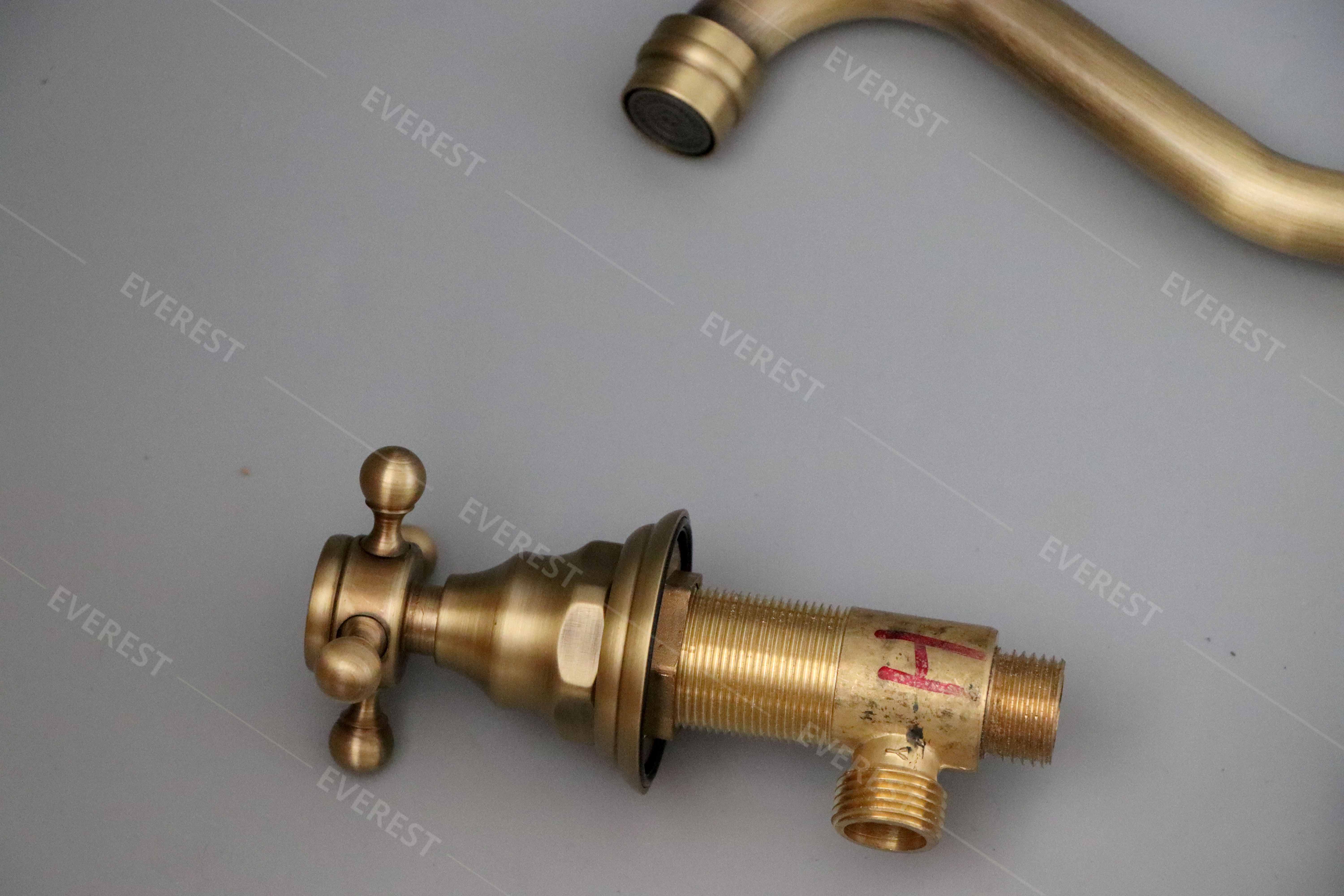 Vòi rửa âm bàn EVEREST EV-1117