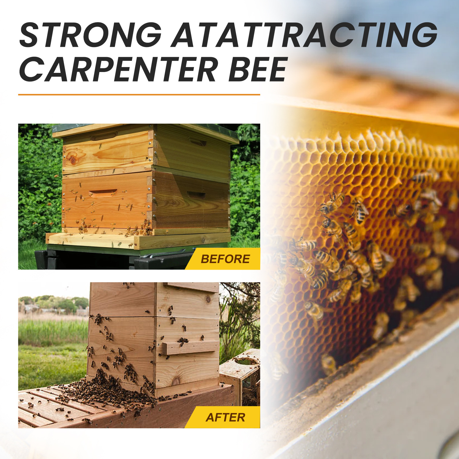 Mồi Dụ Ong Mật Về Làm Tổ Dễ Sử Dụng Hiệu Quả Dành Cho Người Nuôi Ong 30ml Bee Lure - Hàng Nhập Khẩu