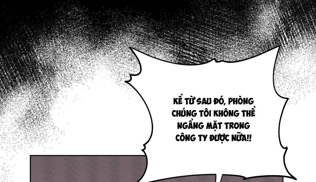 chàng dâu nhà họ kang chapter 8 88