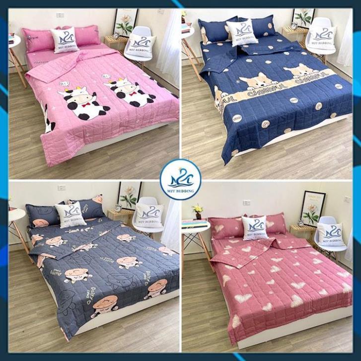 Bộ chăn ga gối hè cotton poly Bedding, chăn hè trần bông họa tiết mền đáng yêu