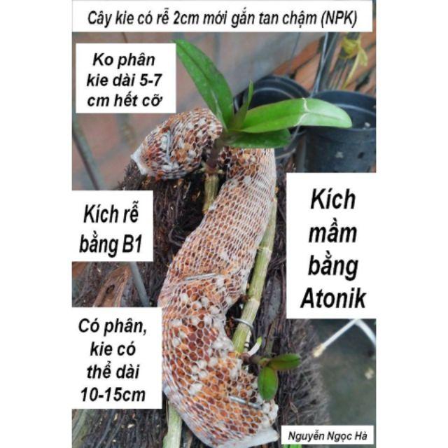 1kg Túi lưới đựng phân dê, đựng phân tan chậm, đựng phân trì, túi bọc hoa, phân cho hoa lan