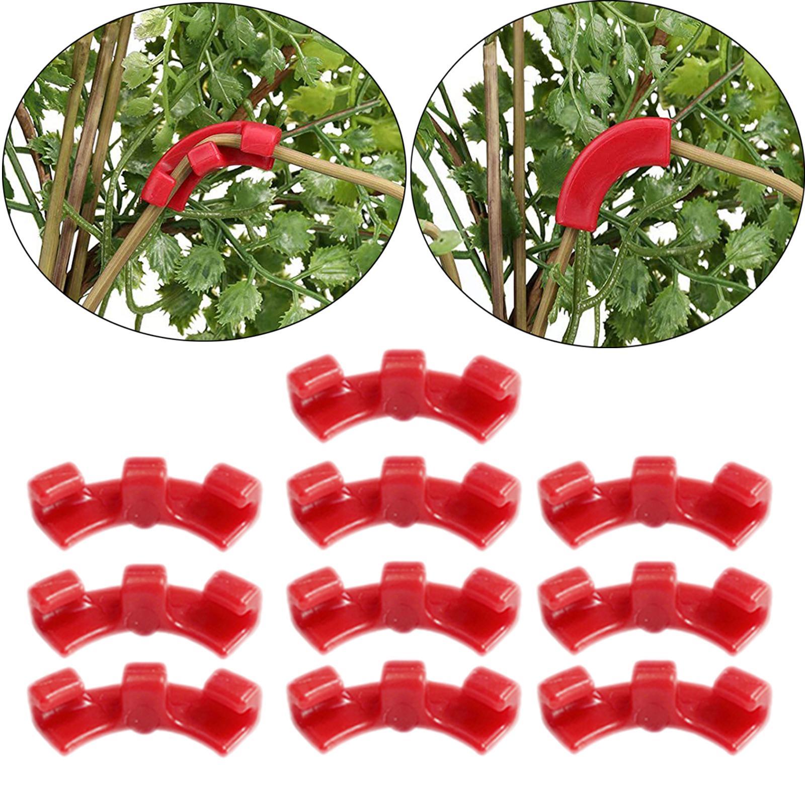 10Pcs Plant Trainer Clips Accs Garden Decoration for Training Flower Outdoor