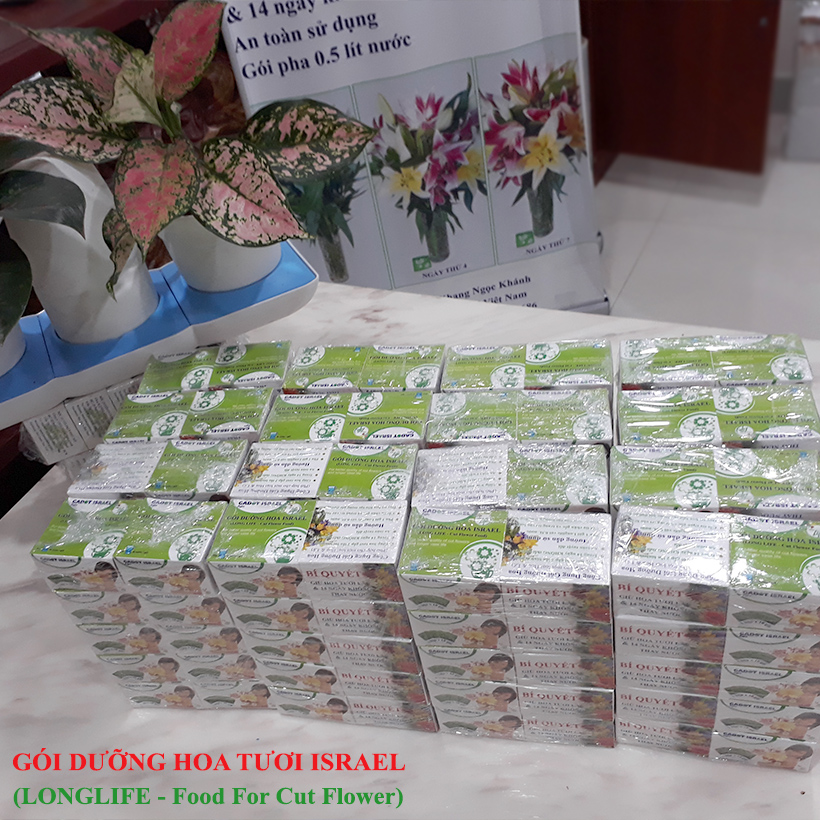 Bột Cắm Hoa Tươi Lâu Longlife Của Israel