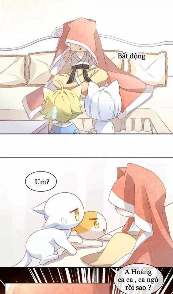 dưới móng vuốt mèo chapter 18 6