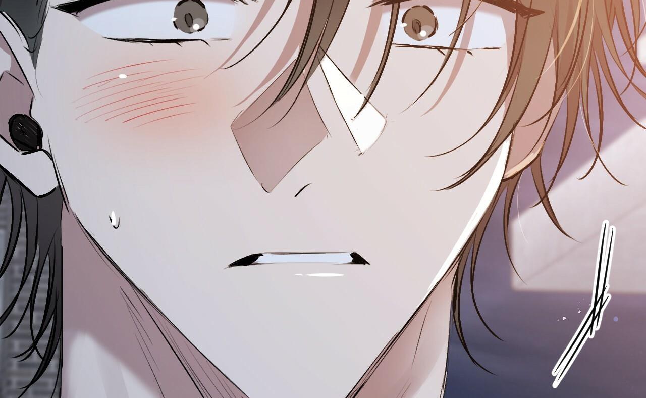 đàn thỏ của habibi chapter 41 116