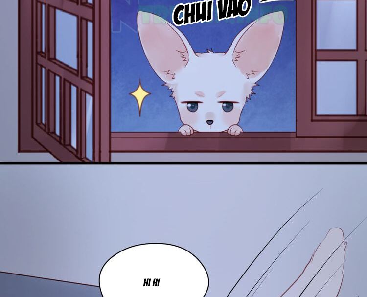 lượm được một tiểu hồ ly phần 1 chapter 52 17