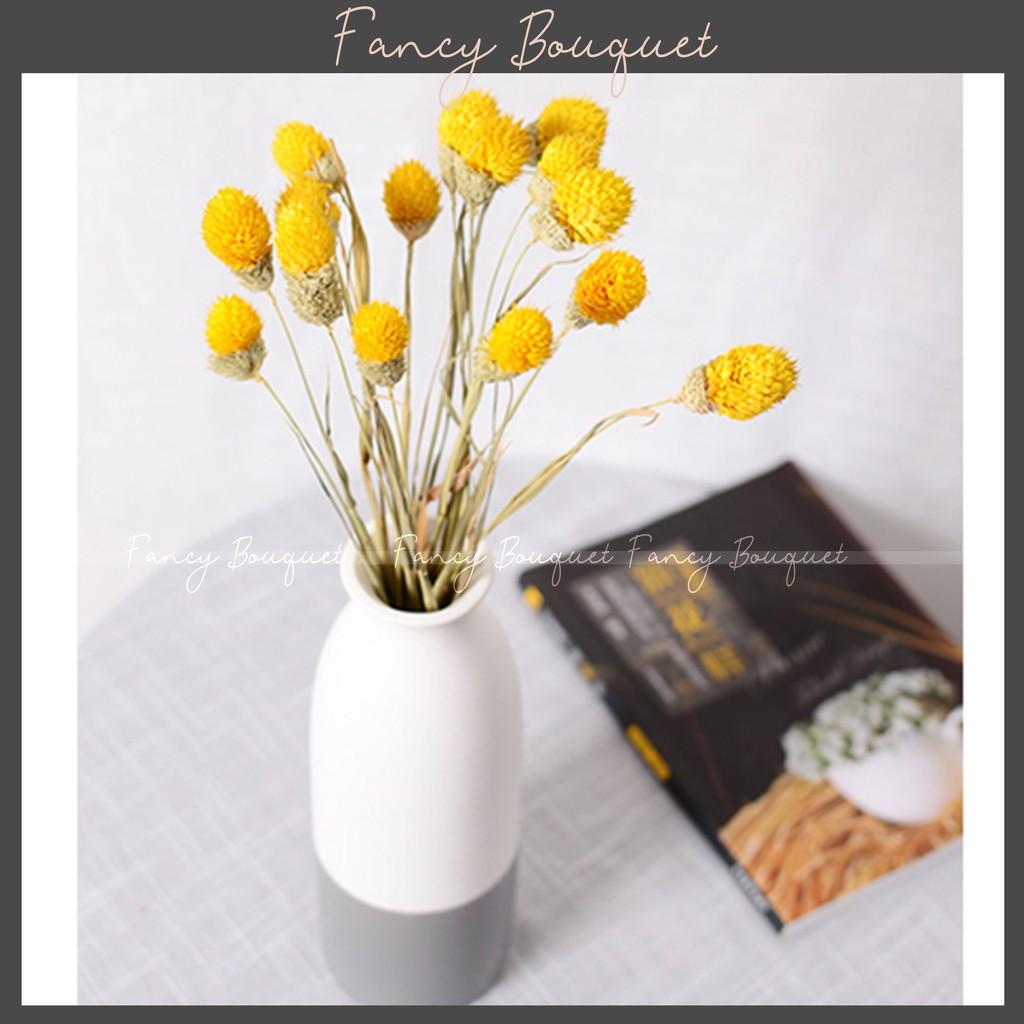 Hoa Tuyết Khô (4 Màu) ️️ Hoa nhỏ xinh dễ thương - Hoa khô trang trí