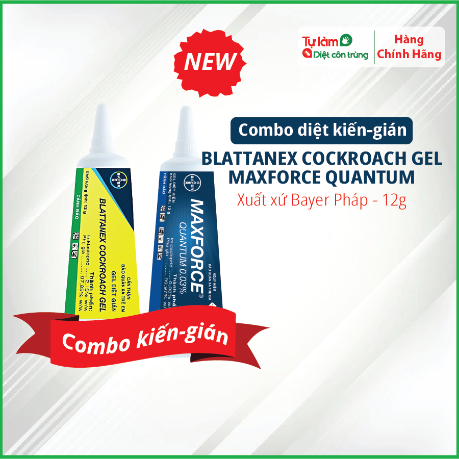 Combo Gel Diệt Kiến Maxforce Quantum Và Gel Diệt Gián Đức Blattanex Bayer Pháp, Tiết Kiệm Hơn