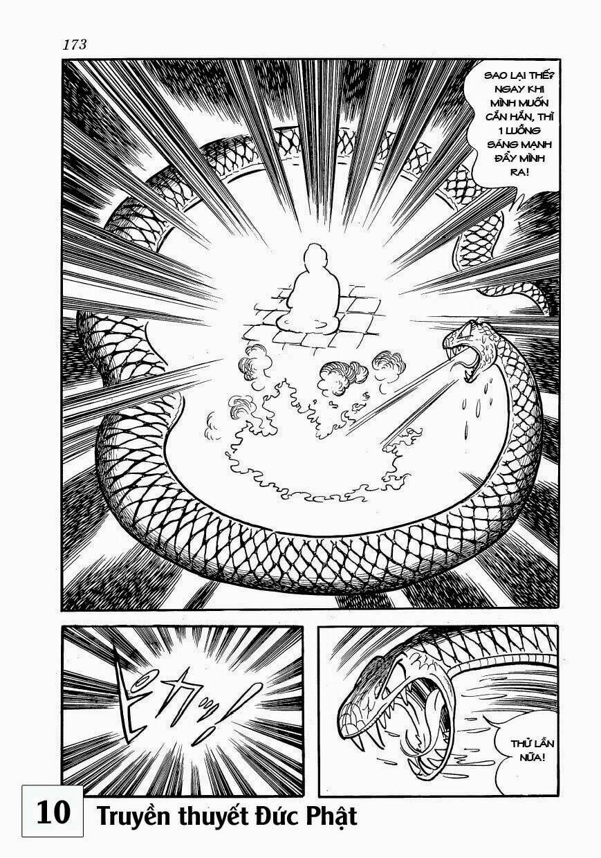 buddha - truyền thuyết đức phật chapter 47 46