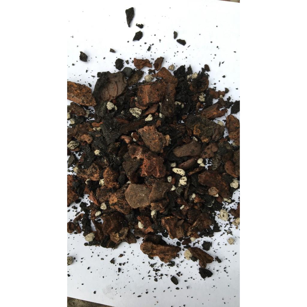 Giá thể hỗn hợp trồng kiếm
