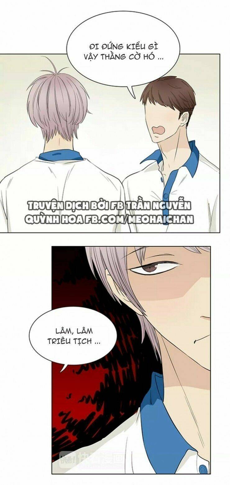 trúc mã ngoe nguẩy đuôi chapter 2 4