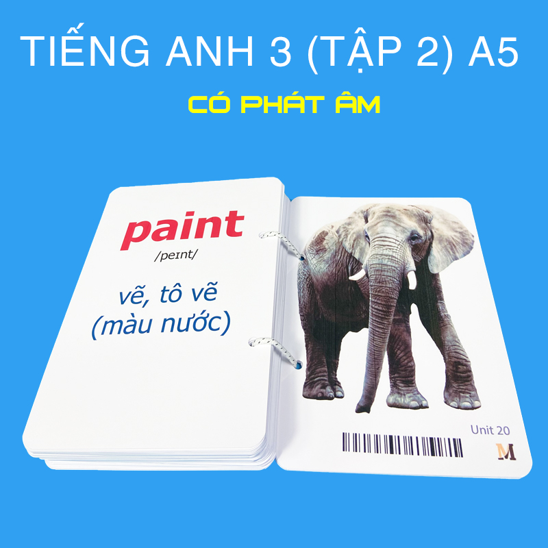 2 Bộ flashcard tiếng Anh 3 khổ lớn A5, có phát âm và hình ảnh sinh động