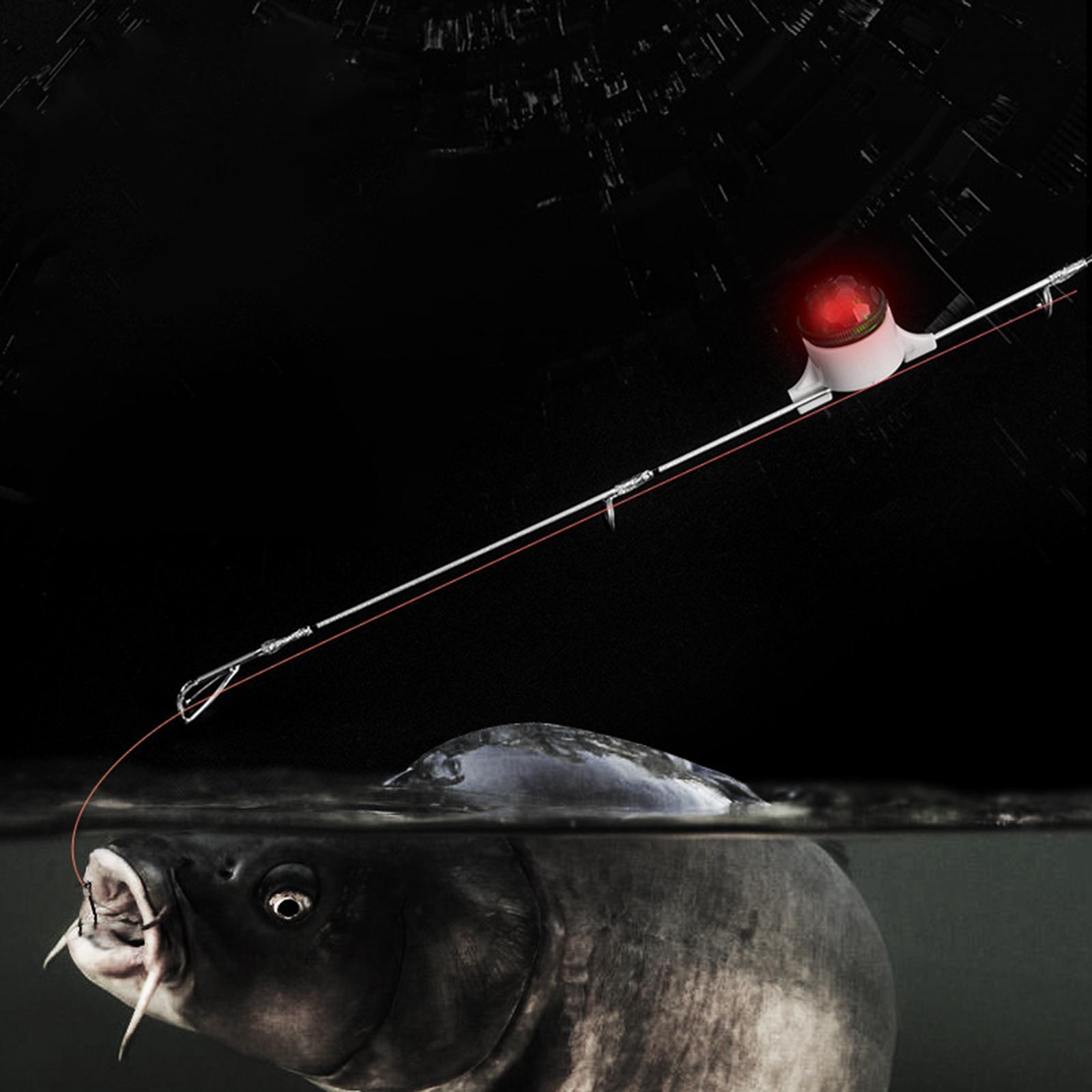 Bite LED Fishing Rod Tip Carp Night Fishing Light