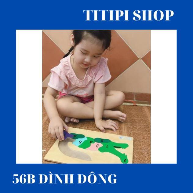 Tranh Ghép Cá Sấu Học Số Việt Nam