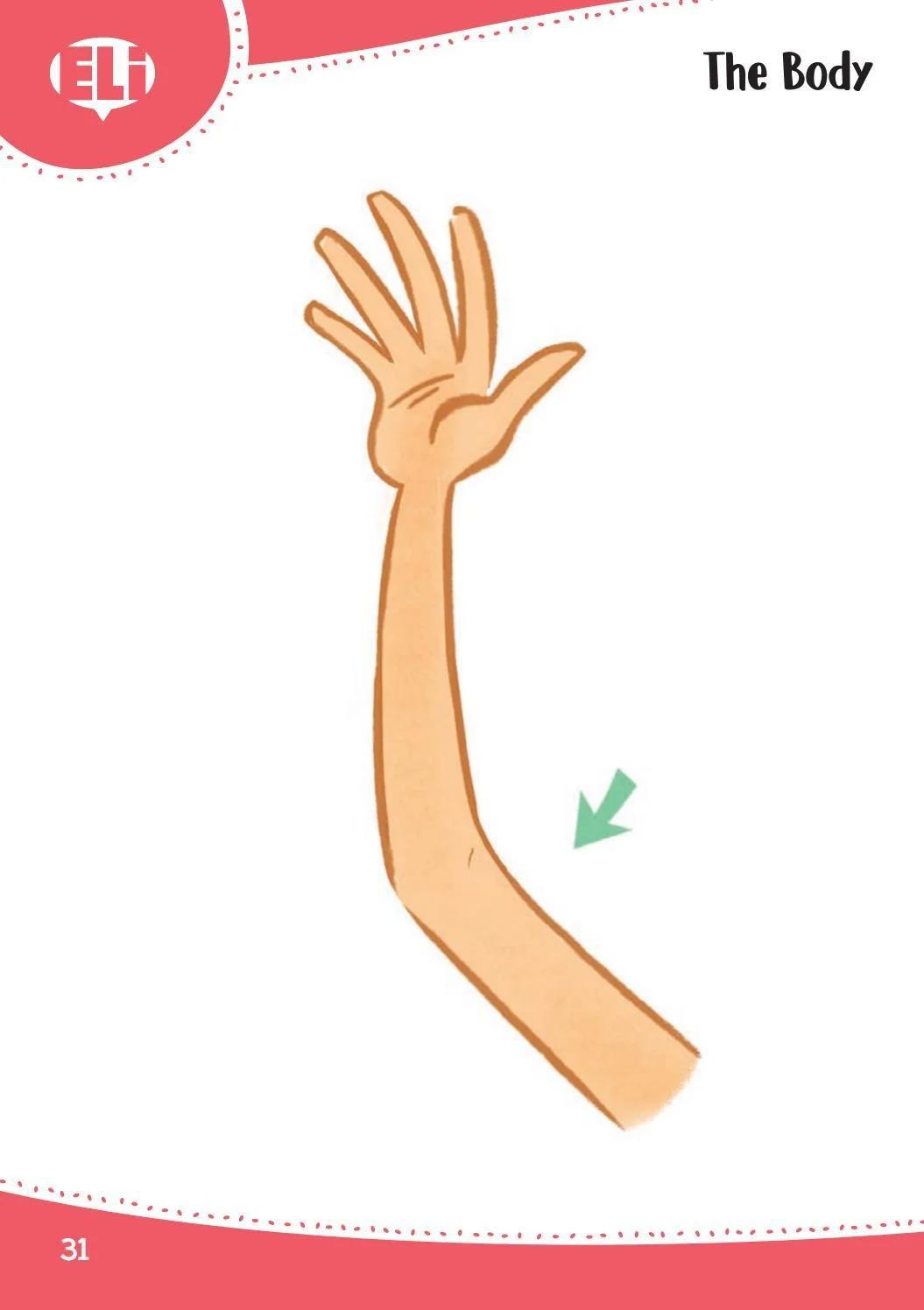 Sách ngoại văn: Words In Pictures (Printed Flashcards With Digital Code)