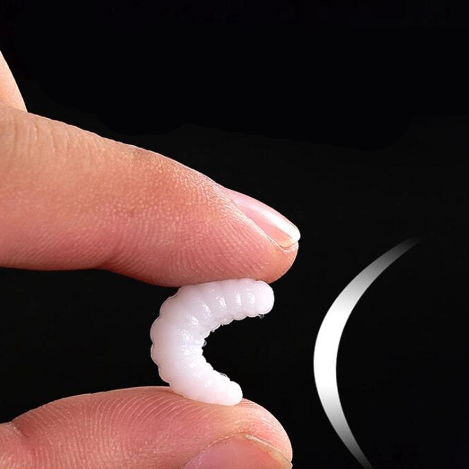 Fishing Lure Soft Plastic Worm Larva Grub Baits Freshwater Tackle
